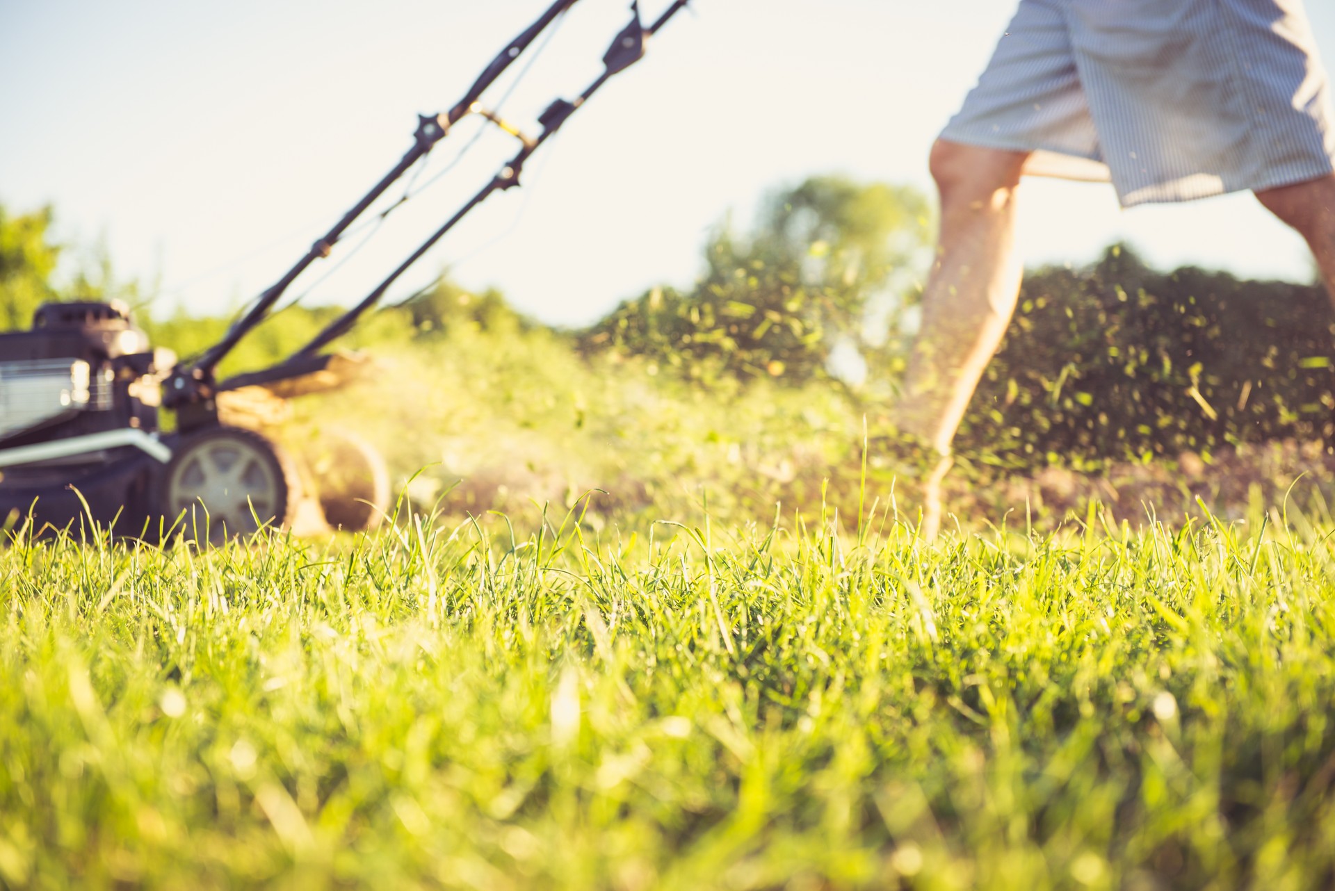 Young man mowing the grass